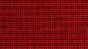 Kansas City Chiefs players celebrate during the Chiefs' Super Bowl LVIII victory parade on February 14, 2024, in Kansas City, Missouri. Photo by ANDREW CABALLERO-REYNOLDS/AFP via Getty Images