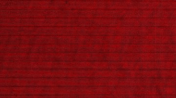 Kansas City Chiefs players celebrate during the Chiefs' Super Bowl LVIII victory parade on February 14, 2024, in Kansas City, Missouri. Photo by ANDREW CABALLERO-REYNOLDS/AFP via Getty Images