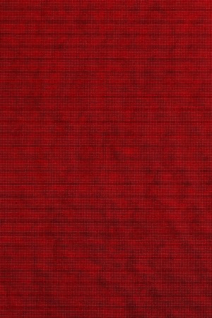 Kansas City Chiefs players celebrate during the Chiefs' Super Bowl LVIII victory parade on February 14, 2024, in Kansas City, Missouri. Photo by ANDREW CABALLERO-REYNOLDS/AFP via Getty Images