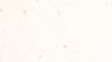 Kali Uchis_Karol G_Xavi