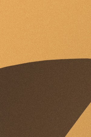 Bad Bunny and Jennifer Lopez collage for post about the Met Gala 2024