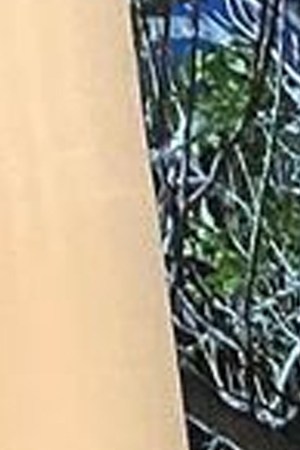 Chuy Montana_Driver_Street Mob