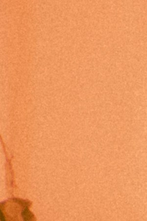 Sophie Castillo_London