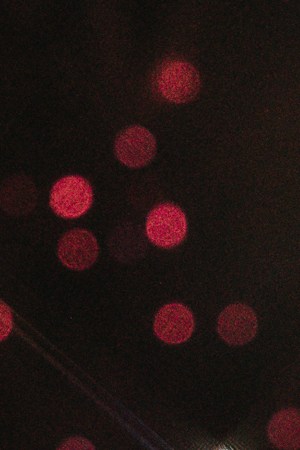 Karol G in Costa Rica_Rock in_Será Bonito