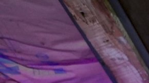 Photography by Miguel McSongwe.