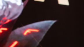 Grupo Firme_2024 La Última Peda