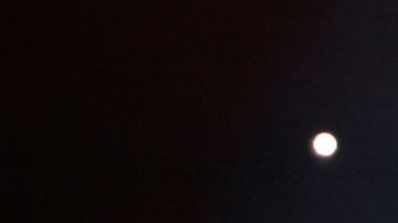 LAS VEGAS, NEVADA - FEBRUARY 23: Bad Bunny performs during a stop of the Most Wanted Tour at T-Mobile Arena on February 23, 2024 in Las Vegas, Nevada. (Photo by David Becker/Getty Images)