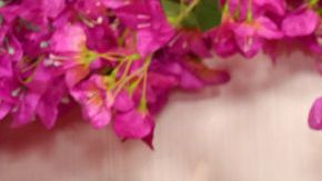 America Ferrera attends the 96th Annual Academy Awards.