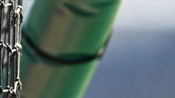 LAKELAND, FLORIDA - MARCH 14, 2024: Oscar Gonzalez #72 of the New York Yankees looks on prior to a spring training game against the Detroit Tigers at Publix Field at Joker Marchant Stadium on March 14, 2024 in Lakeland, Florida. (Photo by Nick Cammett/Diamond Images via Getty Images)