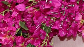 HOLLYWOOD, CALIFORNIA - MARCH 10: America Ferrera attends the 96th Annual Academy Awards on March 10, 2024 in Hollywood, California. (Photo by Marleen Moise/Getty Images)