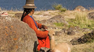 Subject: A Peruvian woman spinning the wool of a baby Vicuna, a South American camelid in the family of a Llama, produces one of the finest wool in the world