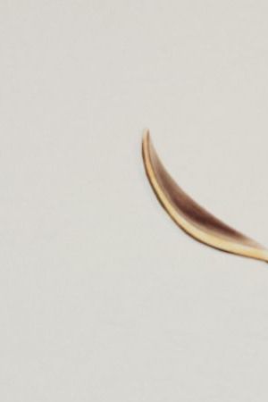 NEW YORK, NEW YORK - MARCH 05: Marcello Hernandez attends the 75th Annual Writers Guild Awards at The Edison Ballroom on March 05, 2023 in New York City. (Photo by Jamie McCarthy/Getty Images for Writers Guild of America East)