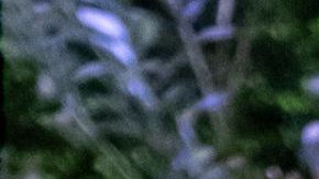 Love is Blind. (L to R) Johnny McIntyre, Amy Cortés in the season 6 reunion of Love is Blind. Cr. Greg Gayne/Netflix © 2024