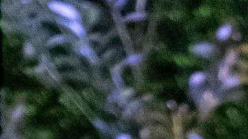 Love is Blind. (L to R) Johnny McIntyre, Amy Cortés in the season 6 reunion of Love is Blind. Cr. Greg Gayne/Netflix © 2024