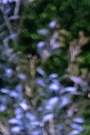 Love is Blind. (L to R) Johnny McIntyre, Amy Cortés in the season 6 reunion of Love is Blind. Cr. Greg Gayne/Netflix © 2024