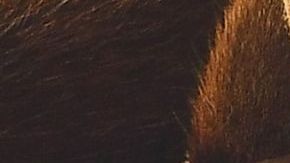 LOS ANGELES, CALIFORNIA - MARCH 03: Jack Black arrives at the Los Angeles Premiere Of Universal Pictures' "Kung Fu Panda 4" on March 03, 2024 in Los Angeles, California. (Photo by Steve Granitz/FilmMagic)