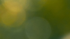 Photo by Paula Montenegro for Remezcla