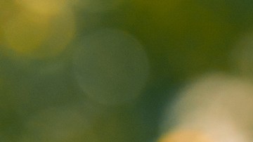 Photo by Paula Montenegro for Remezcla