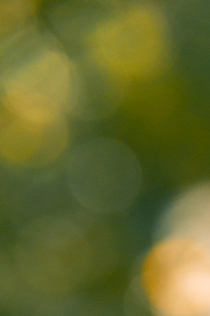 Photo by Paula Montenegro for Remezcla