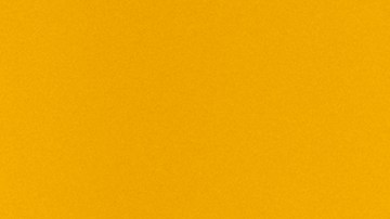 anamaria-sayre-header