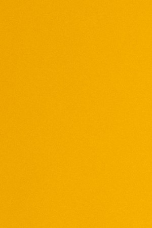 anamaria-sayre-header