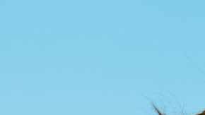 Attended at Festival Axe Ceremonia 2024 in Mexico City