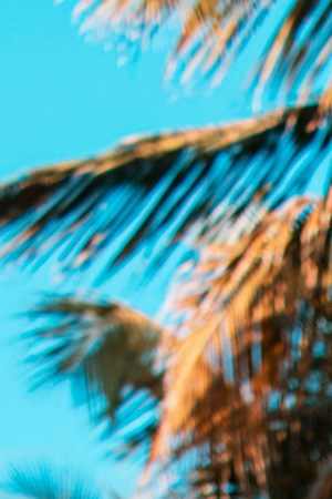 Photo by Maxiel Vasquez