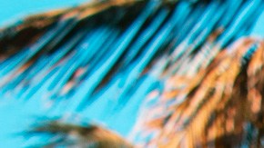 Photo by Maxiel Vasquez