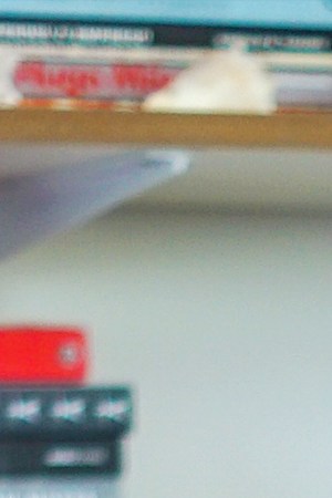 fabiane-pereira-header