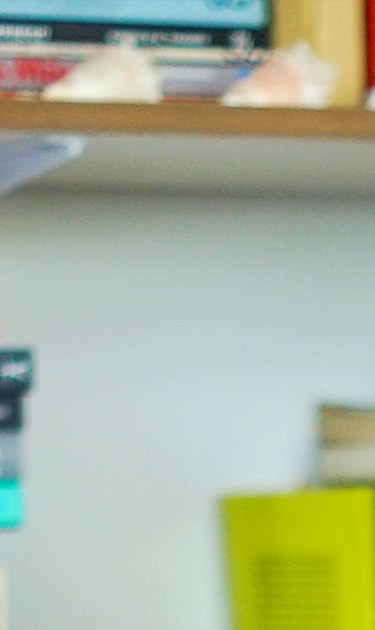 fabiane-pereira-header