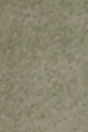 gissel-alvarez-header