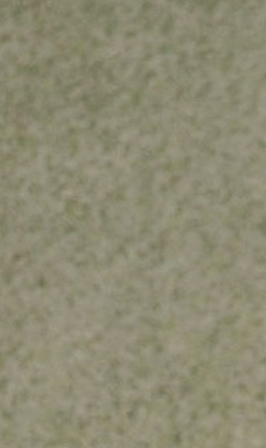 gissel-alvarez-header