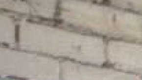 Photography by Aaron Ybarra.