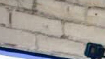 Photography by Aaron Ybarra.