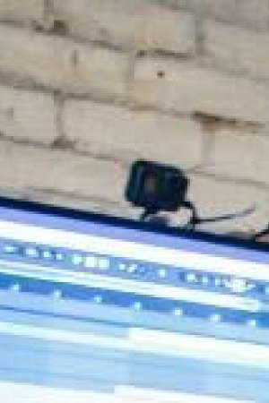 Photography by Aaron Ybarra.