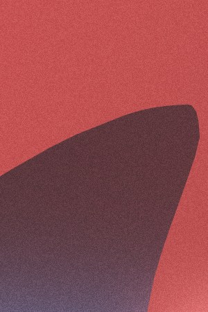 the rolling stones_carin leon