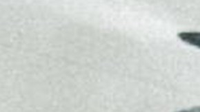 JOP_Fuerza Regida_'TU NAME'