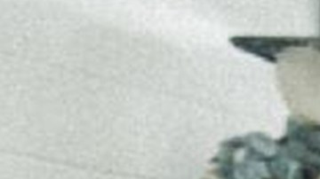 JOP_Fuerza Regida_'TU NAME'