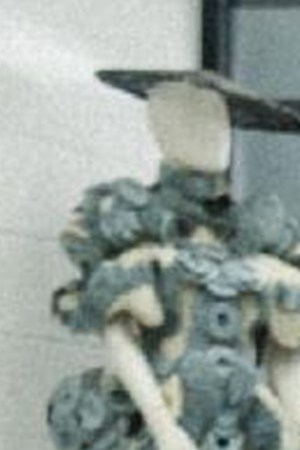 JOP_Fuerza Regida_'TU NAME'