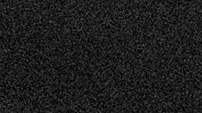 suzy-exposito-header