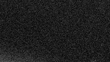 suzy-exposito-header