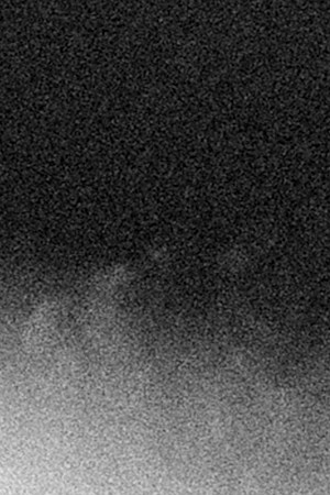 suzy-exposito-header