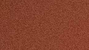 Andres Canalla_‘Cuando te Disparan Sangras’