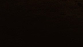 Photo by Andrew Valdivia