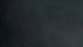 'Fina' Bad Bunny Infringement