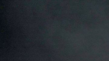 'Fina' Bad Bunny Infringement