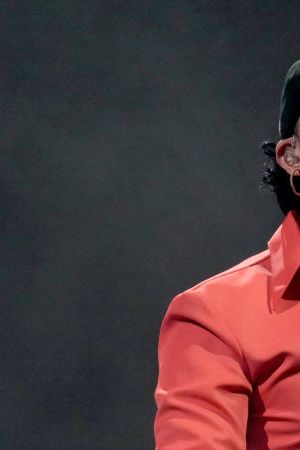 'Fina' Bad Bunny Infringement