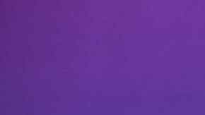 HOLLYWOOD, CA - AUGUST 30:  A.B. Quintanilla attends 'Madame Tussauds Hollywood unveils a wax figure of Selena Quintanilla' at Madame Tussauds on August 30, 2016 in Hollywood, California.  (Photo by Emma McIntyre/Getty Images)