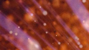 Roxxy Andrews for RuPaul's Drag Race All Stars Season 9