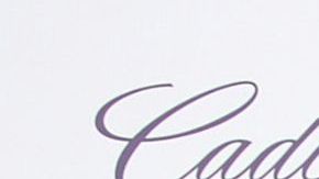 NEW YORK, NY - SEPTEMBER 12: Nancy González attends the screening Of "Scatter My Ashes At Bergdorfs" to celebrate Bergdorf Goodman's 111th Anniversary at Paris Theater on September 12, 2012 in New York City. (Photo by Paul Zimmerman/WireImage)